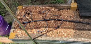 drip irrigation