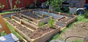 raised_beds_2