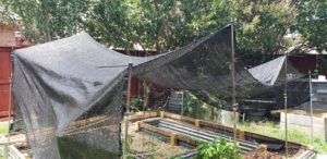 shade_cloth